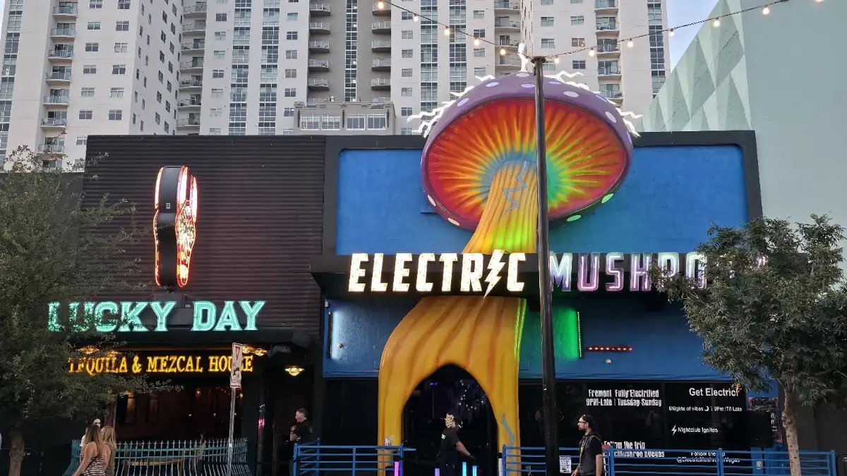 The Electric Mushroom in Las Vegas, NV