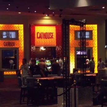 Cathouse Boutique Nightclub